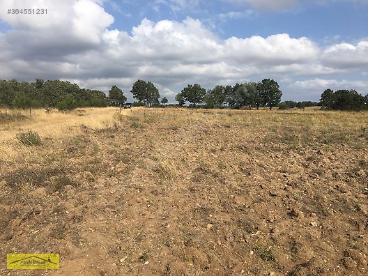 bakacak koyunde 20 donum satilik tarla satilik arsa ilanlari sahibinden com da 364551231 bakacak koyunde 20 donum satilik tarla satilik arsa ilanlari sahibinden com da 364551231