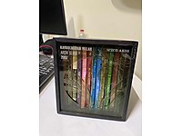 Sezen Aksu arşiv sd