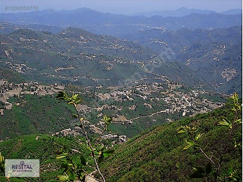 SOĞUKPINAR KÖYÜN'DE GÜNEYLER MEVKİİ SATILIK FIRSAT TARLA