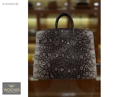 Hermès Birkin 25 Ombre Varanus Salvator Lizard Palladium - Hermes