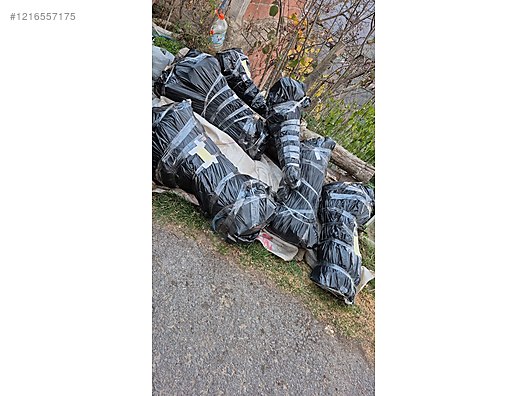 İkinci El ve Sıfır Alışveriş / Bahçe & Yapı Market / Bahçe / Bitki & Çiçek / Fidan & Çalı