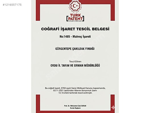 İkinci El ve Sıfır Alışveriş / Bahçe & Yapı Market / Bahçe / Bitki & Çiçek / Fidan & Çalı