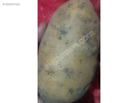 İkinci El ve Sıfır Alışveriş / Yiyecek & İçecek / Meyve & Sebze / Sebze