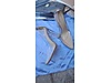 Used & Brand New Items / Clothing & Accessories / Women / Shoes / Classic Heels