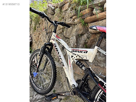 Arnica Cross 26