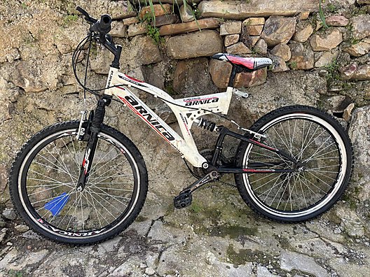 Arnica Cross 26