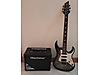 Schecter Elektro Gitar