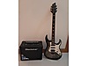 Schecter Elektro Gitar
