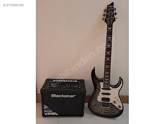 Schecter Elektro Gitar