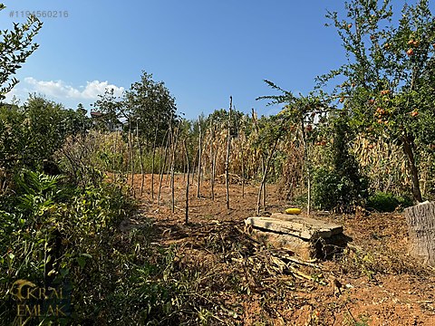 YUKARI MAHALLEDE 372 M2 İMARLI SATILIK ARSA
