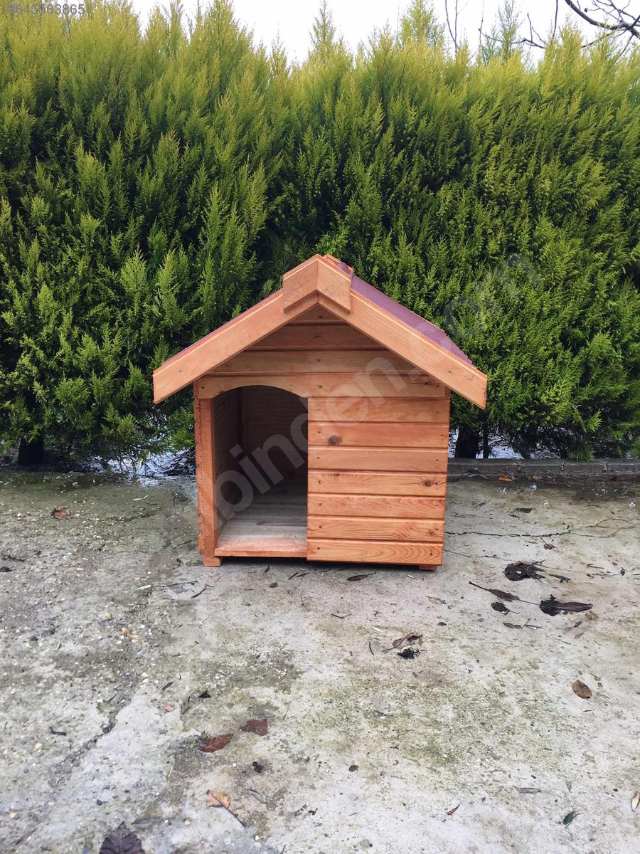 Ahşap köpek Kulübesi 645563865