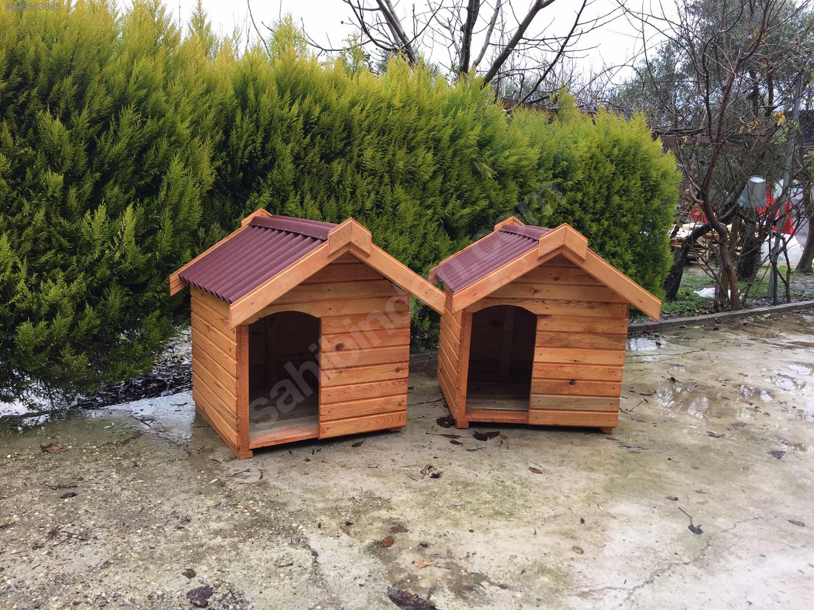 Ahşap köpek Kulübesi 645563865
