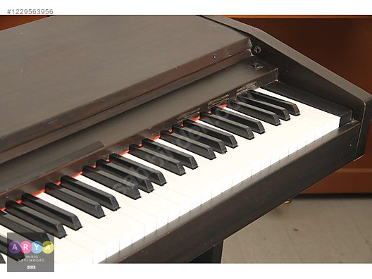 Kawai pn100 store
