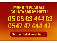 Gerçek Galatasaylılar Mardin plakalı Numara