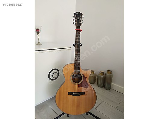 Ibanez ae315 hot sale