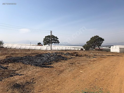 Aksu Fettahlida 6 500 M2 Satilik Arsa Ilanlari Sahibinden Com Da 875565650