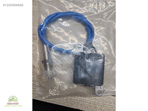 きなこ　0903 1248391039p0g.jpg