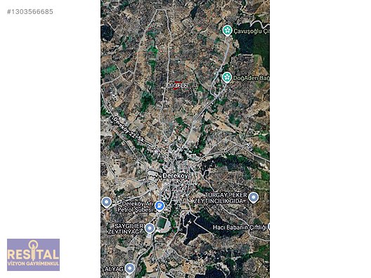 Mudanya Dereköy'de Satılık 2470m² Zeytinlik