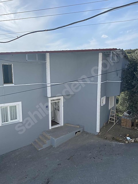 Boya badana dekorasyon alçı alçıpan