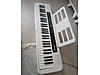 Used & Brand New Items / Music / Musical Instruments / Keyboard Instruments / Organ