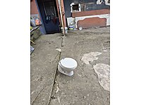 Vitra çocuk klozeti