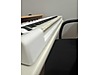 Used & Brand New Items / Music / Musical Instruments / Keyboard Instruments / MIDI Keyboard