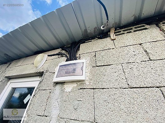 ALÂ&amp;#39;DAN KIRCAĞIZ&amp;#39;DA SATILIK EVİ OLAN ZEYTİNLİK - Satılık Arsa İlanları ...