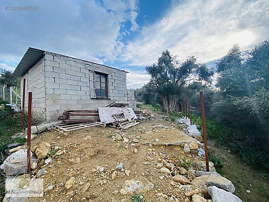 ALÂ&amp;#39;DAN KIRCAĞIZ&amp;#39;DA SATILIK EVİ OLAN ZEYTİNLİK - Satılık Arsa İlanları ...