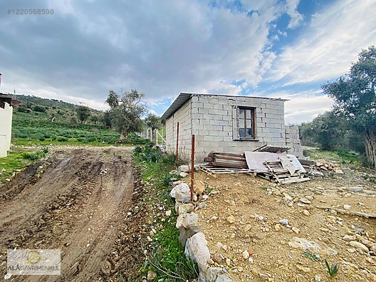 ALÂ&amp;#39;DAN KIRCAĞIZ&amp;#39;DA SATILIK EVİ OLAN ZEYTİNLİK - Satılık Arsa İlanları ...