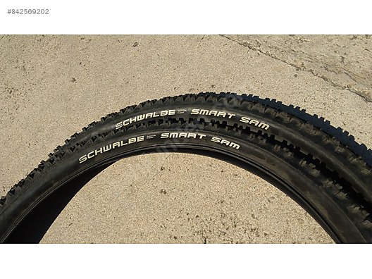smart sam schwalbe 29