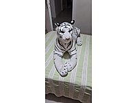 Büyük boy peluş bengay kaplanı