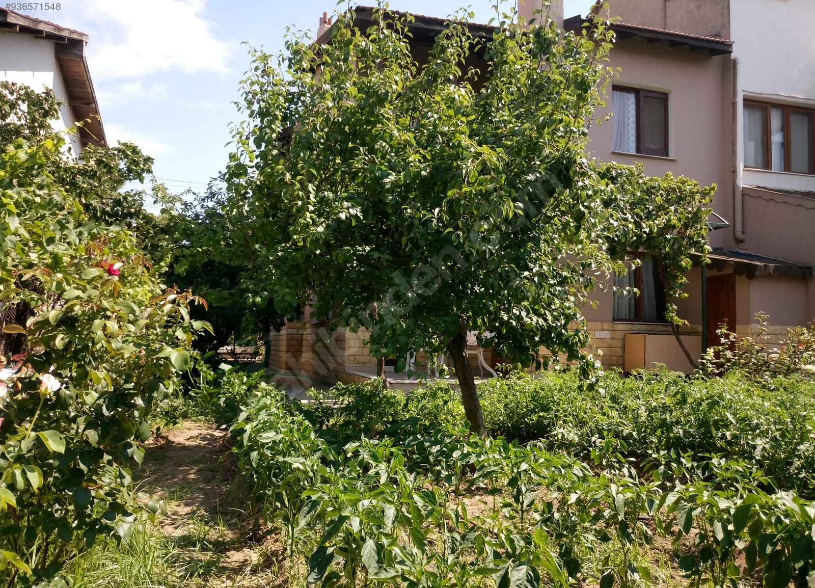 For Sale / Summer Villa / YENİ FOÇA GENCELLİ DE DENİZE ÇOK YAKIN GENİŞ