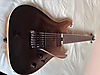 Schecter Elektro Gitar