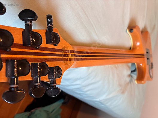 Schecter Elektro Gitar