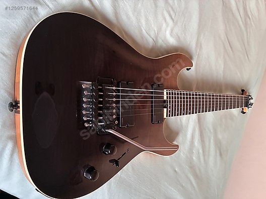 Schecter Elektro Gitar
