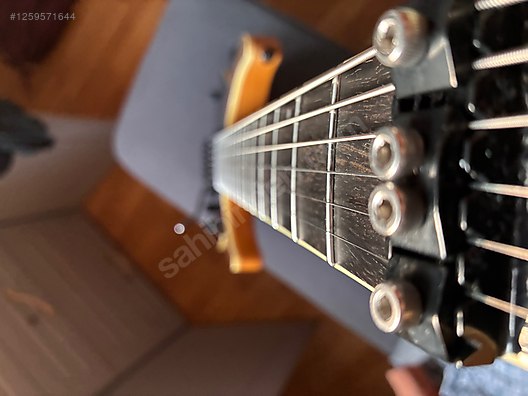 Schecter Elektro Gitar