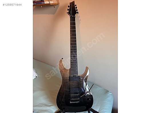 Schecter Elektro Gitar