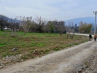 alifuatpasa mh satilik arsa ilanlari ve fiyatlari sahibinden com da