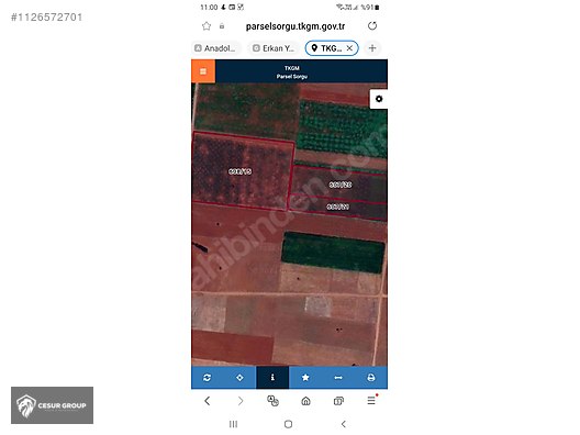 AKÖREN HACILARDA VERİMİ YÜKSEK SULAK TARLA #1126572701