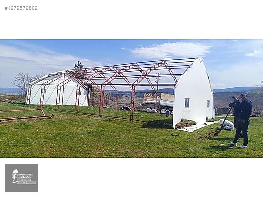 Pets & Livestock / Poultry & Fowl / Chickens