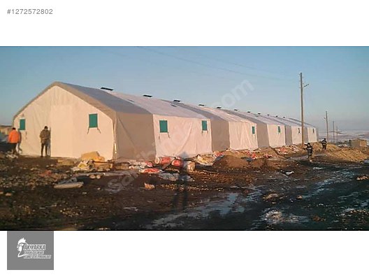 Pets & Livestock / Poultry & Fowl / Chickens