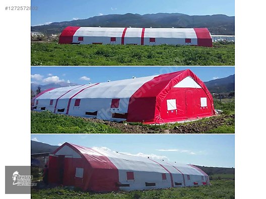 Pets & Livestock / Poultry & Fowl / Chickens