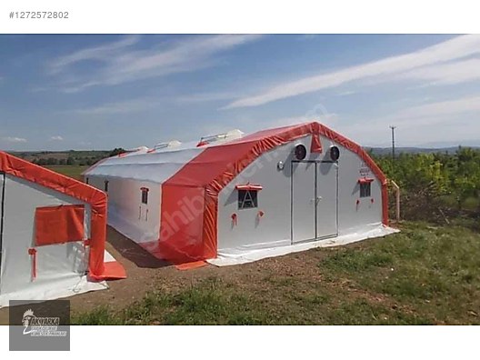 Pets & Livestock / Poultry & Fowl / Chickens