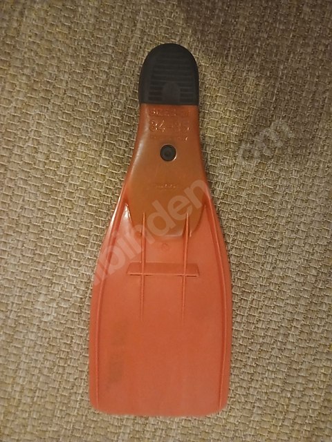 SEA STAR MARKA DENİZ PALETİ