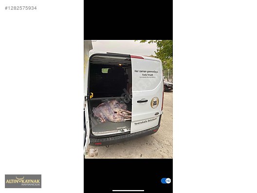 Pets & Livestock / Small Livestock / Sheep