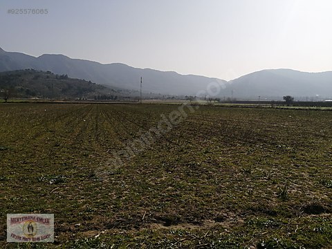 izmir tire uzumler koyunde 24 645 m2 tarla satiliktir satilik arsa ilanlari sahibinden com da 925576065 izmir tire uzumler koyunde 24 645 m2 tarla satiliktir satilik arsa ilanlari sahibinden com da 925576065