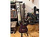 Schecter Elektro Gitar