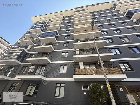 MEDİCAL POİNT ARKASI 1+1 ELVAN'DAN