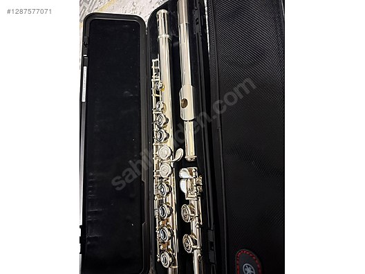 Flute-stache 2.0 - Lot De 2 Moustaches à Clipper Pour Flûte (XL + Guidon) - Accessoire Drôle Pour Musicien - Cadeau - 3
