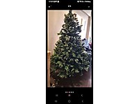 7 dal cesidi euro flora marka buyuk boy